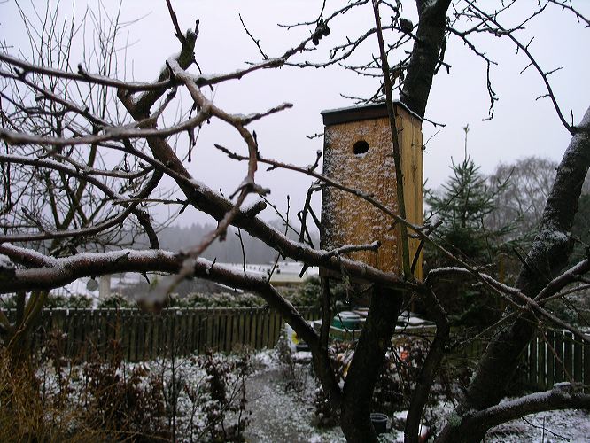 fuglehus.jpg